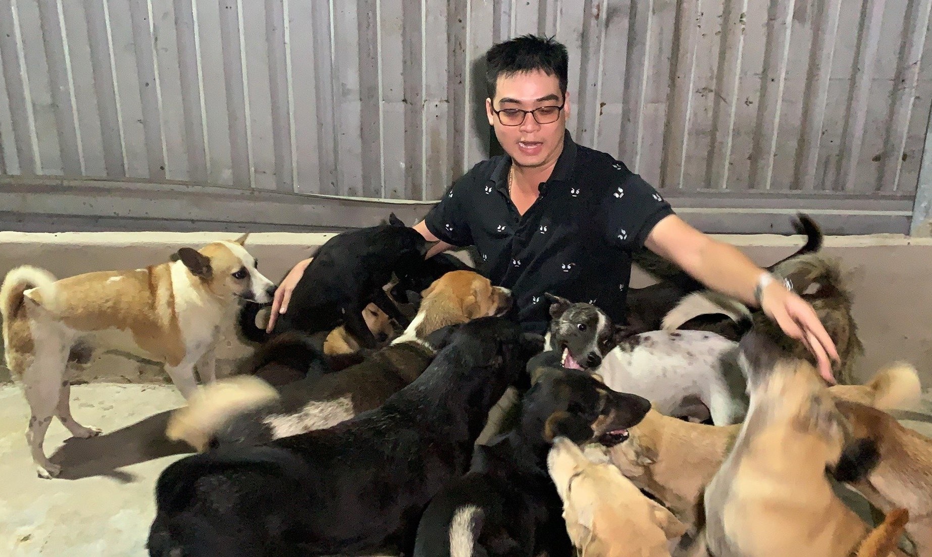 cham soc thu cung mua dich anh 1