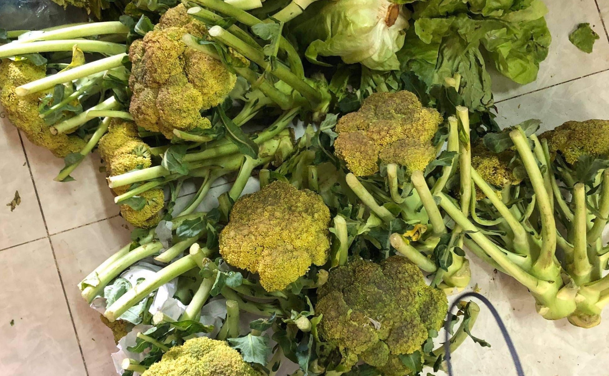 Cho doi lau, nhieu rau cu tu tinh ve TP.HCM bi hu hong hinh anh