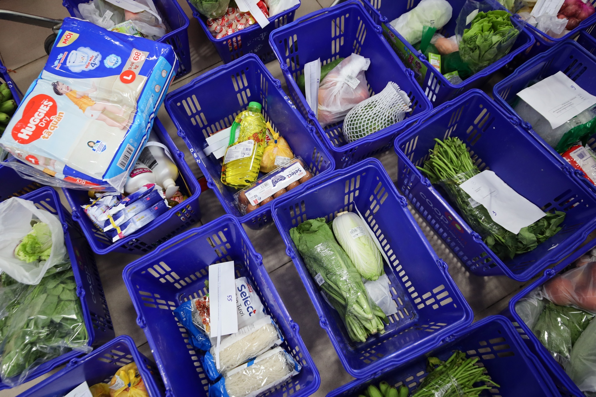 tinh nguyen vien di cho ho anh 1