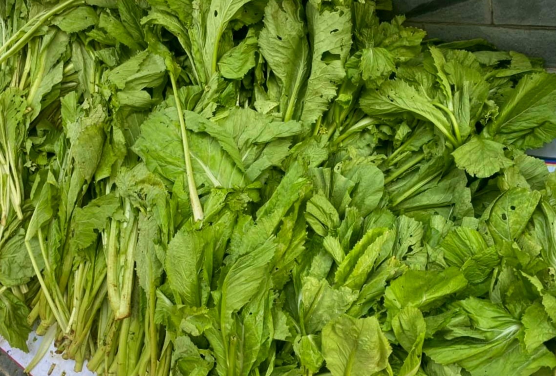 cu dan chung cu lap quay rau 0 dong anh 3