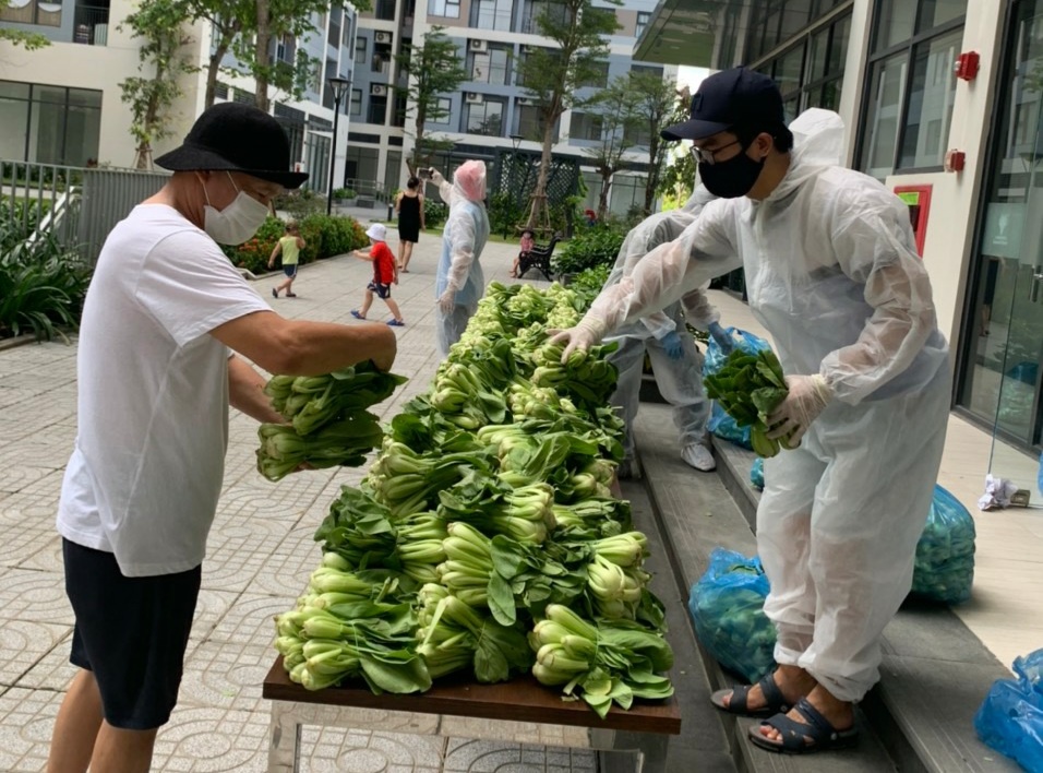 Chung cu o TP.HCM mua 20 tan rau cu ho tro cu dan mien phi hinh anh