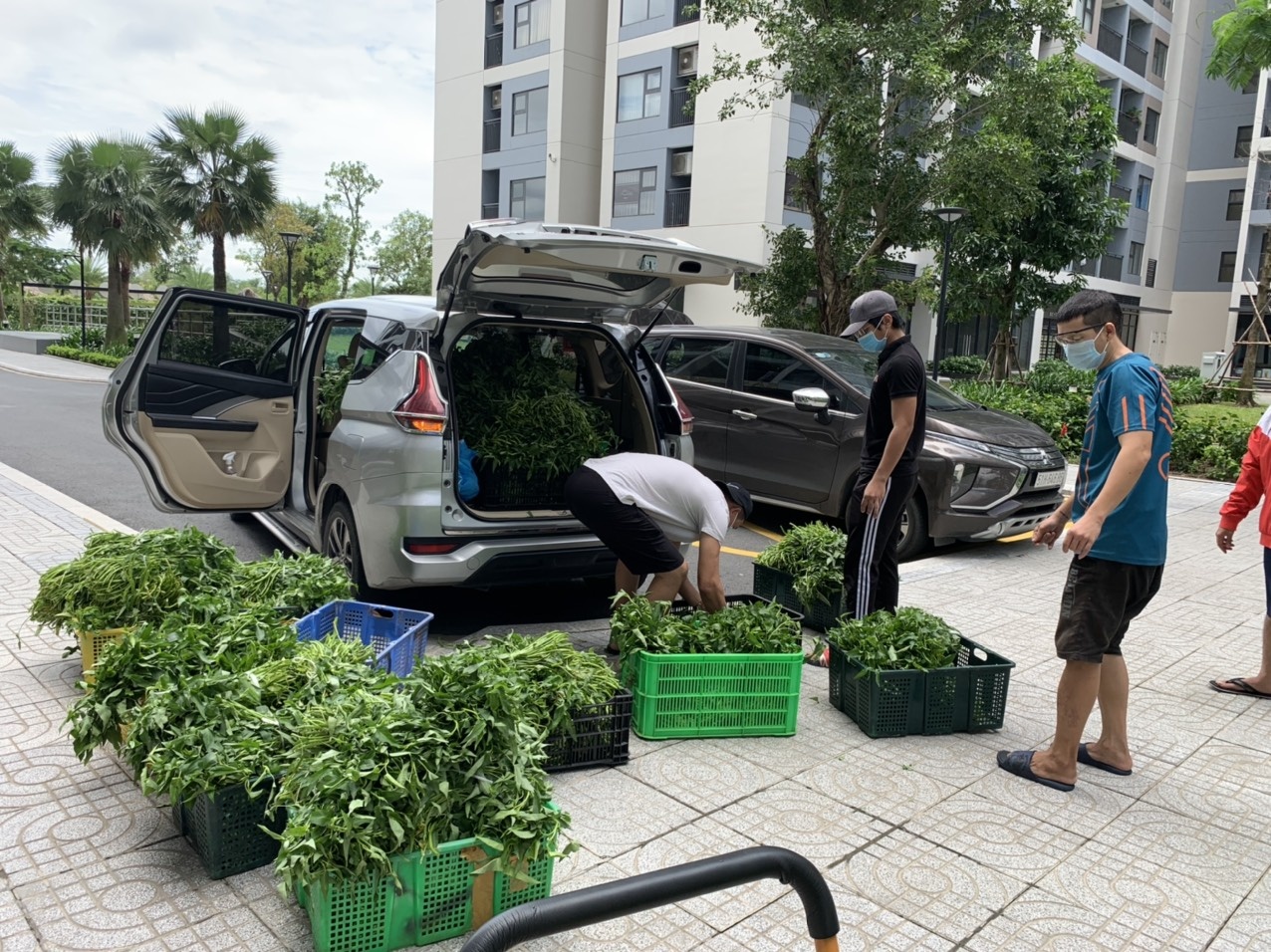 phat rau o chung cu Vinhomes Grand Park anh 1