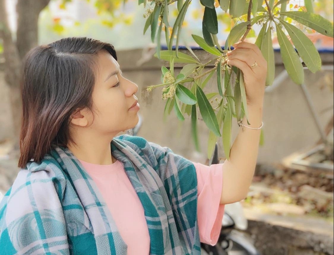 Người dân TP.HCM ám ảnh mùi hoa sữa ảnh 5 Nguoi dan TP.HCM am anh mui hoa sua anh 5