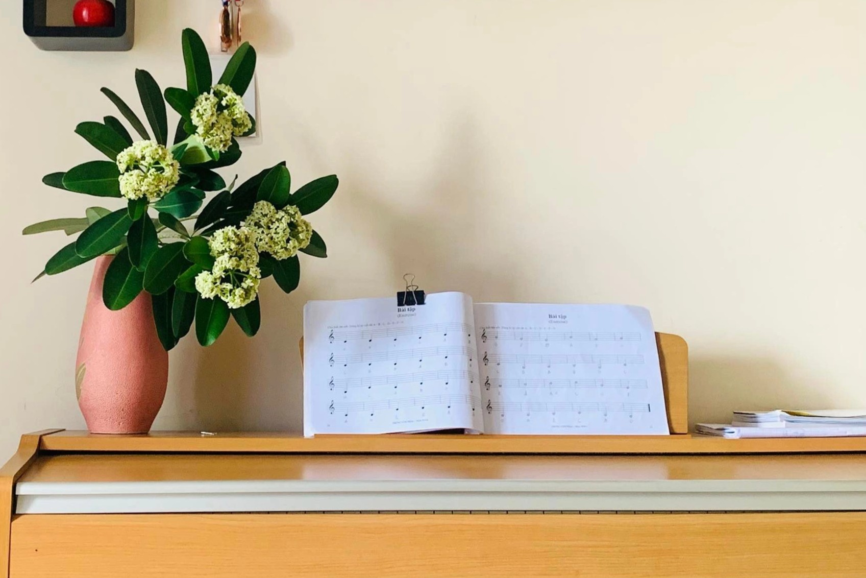 Người dân TP.HCM ám ảnh mùi hoa sữa ảnh 6 Nguoi dan TP.HCM am anh mui hoa sua anh 6