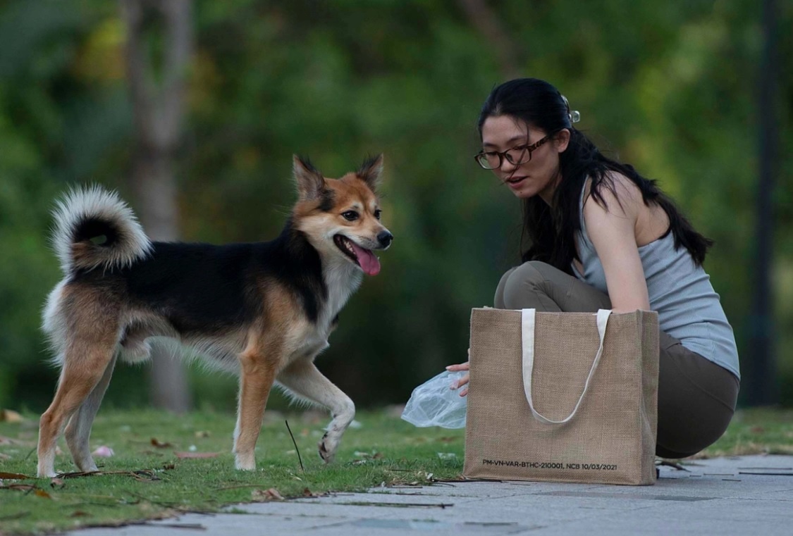 Cu dan chia re vi quy dinh nuoi thu cung o chung cu hinh anh