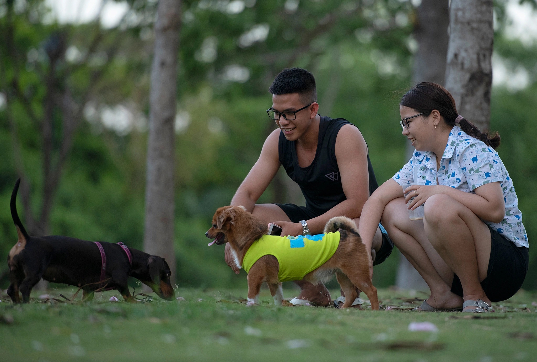nuoi thu cung o chung cu anh 1