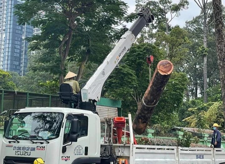 Don ha cay co thu o tuyen duong trung tam anh 1