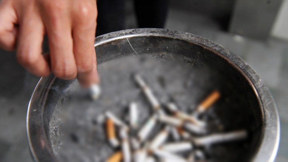 Chung cu o TP.HCM keu goi cu dan to giac nguoi vut tan thuoc bua bai hinh anh