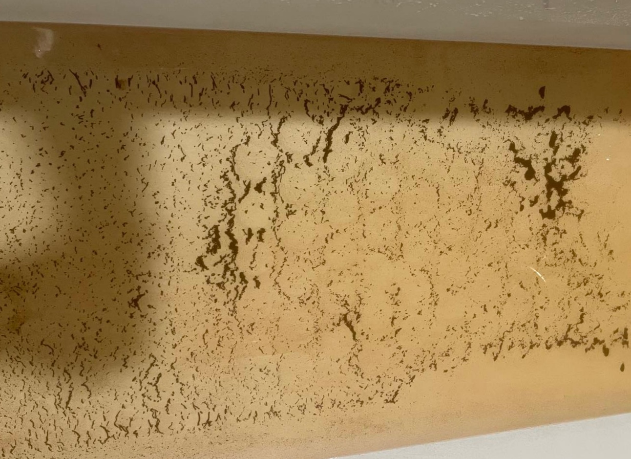 nuoc sinh hoat o chung cu anh 1