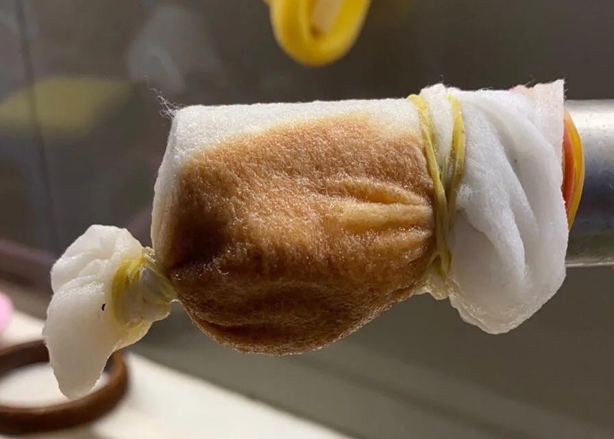 nuoc sinh hoat o chung cu anh 1