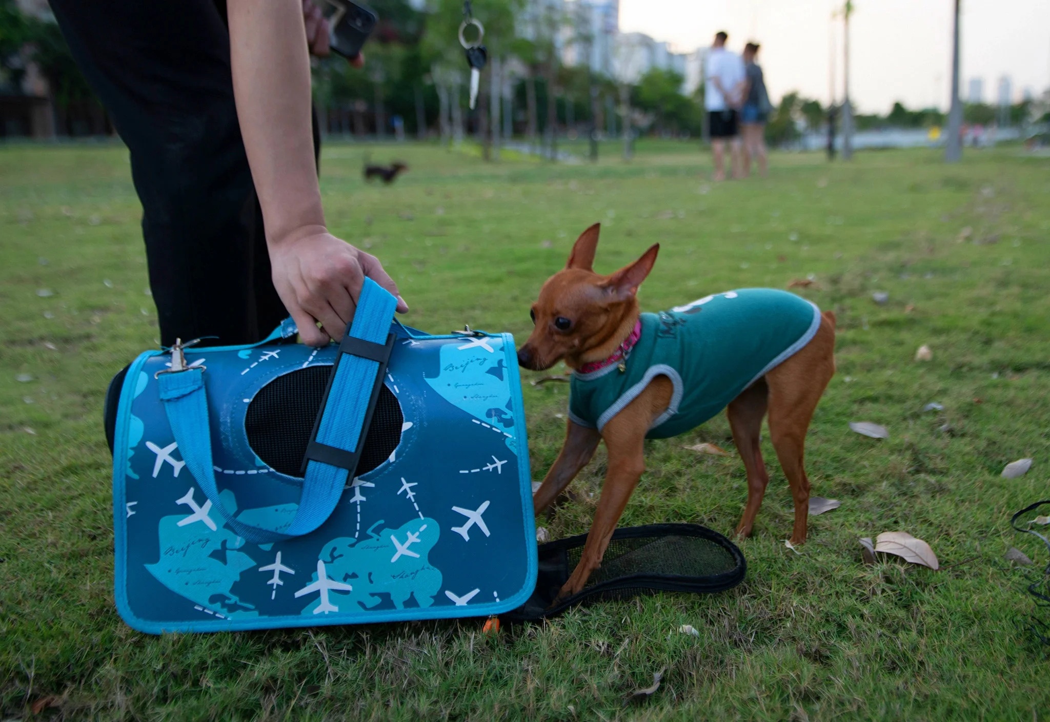 chung cu khuyet Ban quan tri anh 3