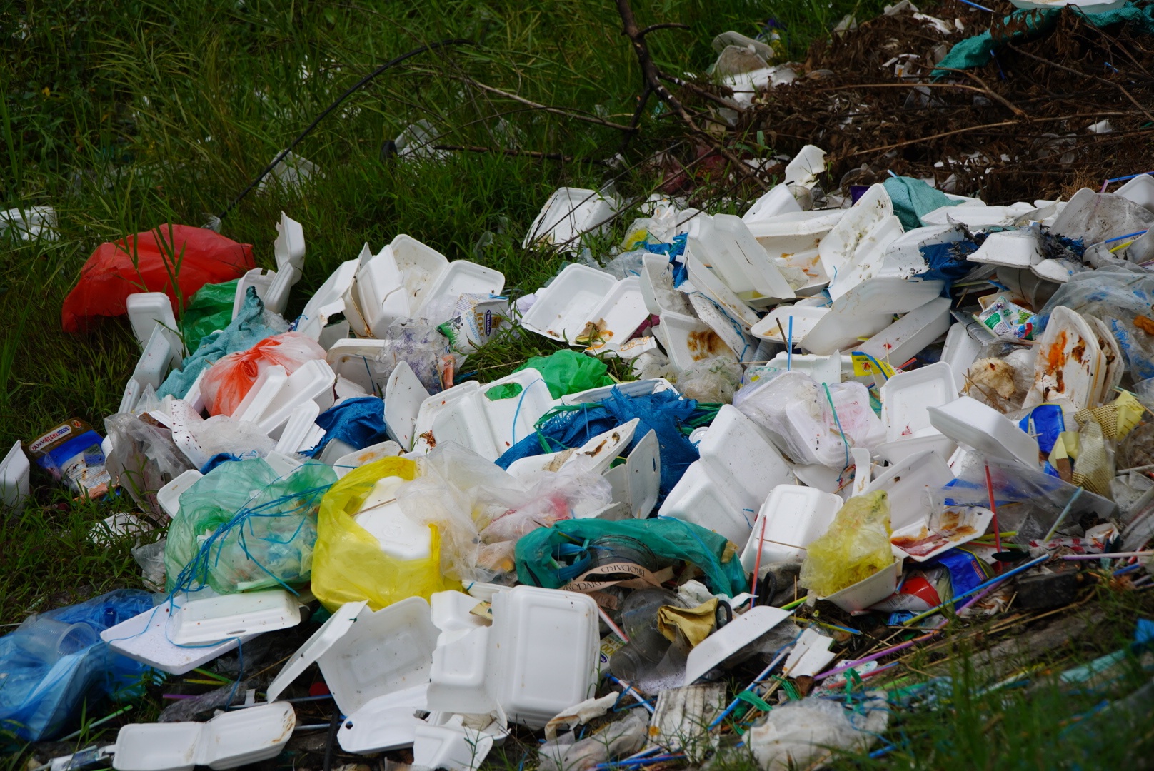 Rac bua vay khu dat 'trieu do' Thu Thiem hinh anh