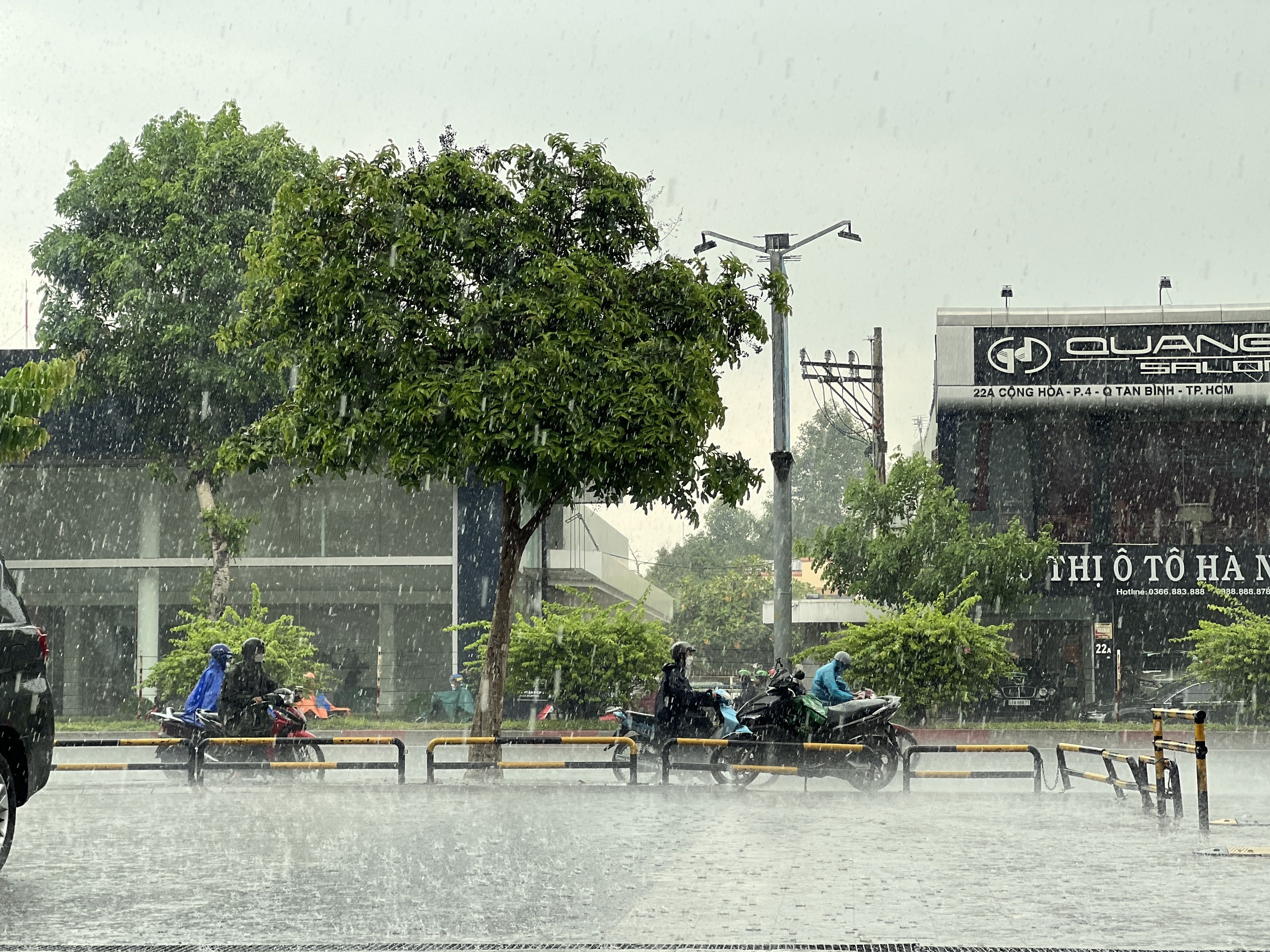 TP.HCM co the ngap nang anh 1