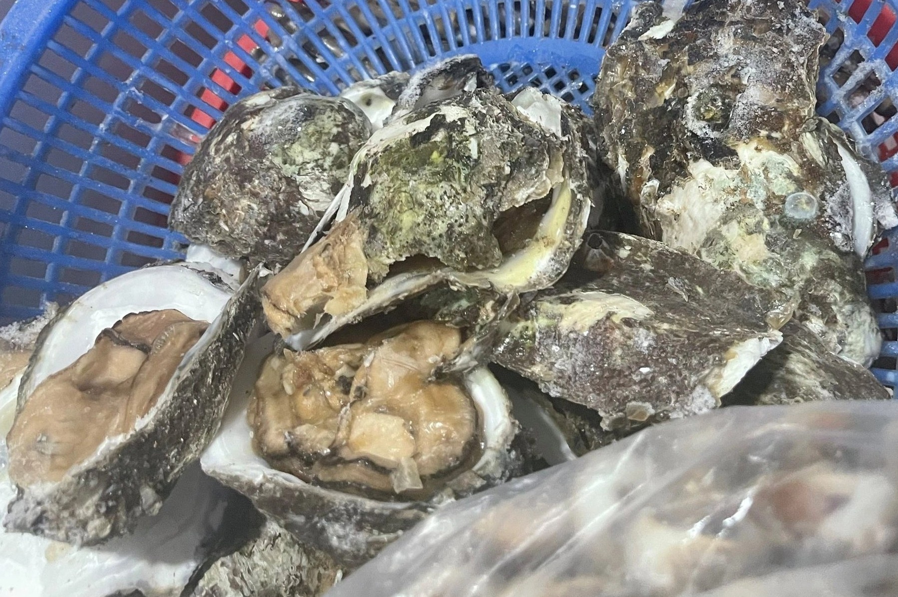 Kiem tra dot xuat quan an ban hau nuong co doi hinh anh