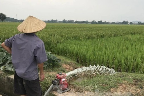 Truong dua ngua tram trieu USD dang o dau? hinh anh