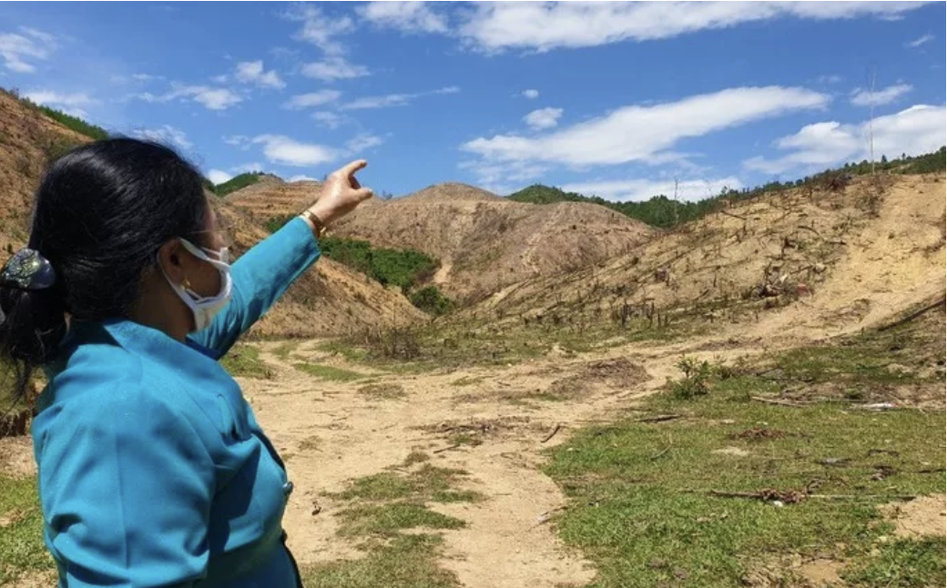 Cap sai hon 150 ha dat rung cho nguoi dan, trong do co vo chu tich xa hinh anh