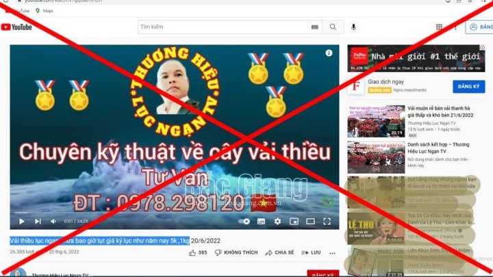 Bac tin vai thieu Luc Ngan gia 5.000 dong/kg anh 1