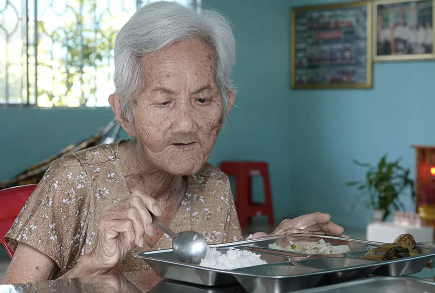 Nguoi dan ong chi 400 luong vang xay nha nuoi hang tram cu gia hinh anh