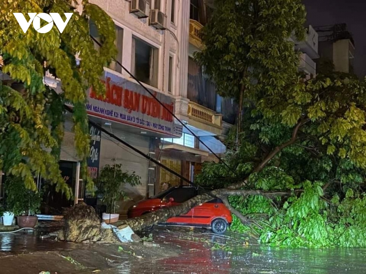 Mua lon di thuong xuat hien giua dem 'that tich' tai Lao Cai anh 2