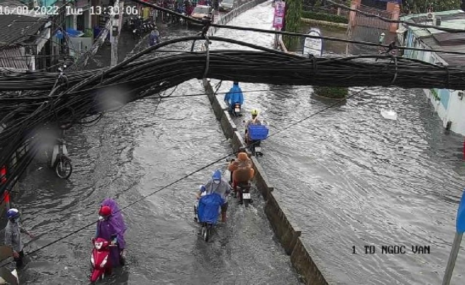 mua lon o TP.HCM anh 1