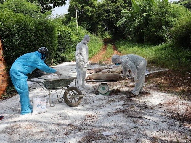 xac lon noi tren ho anh 1