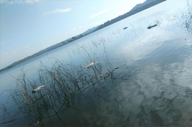 xac lon noi tren ho anh 4