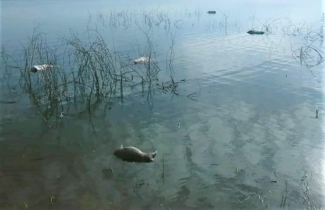 xac lon noi tren ho anh 5