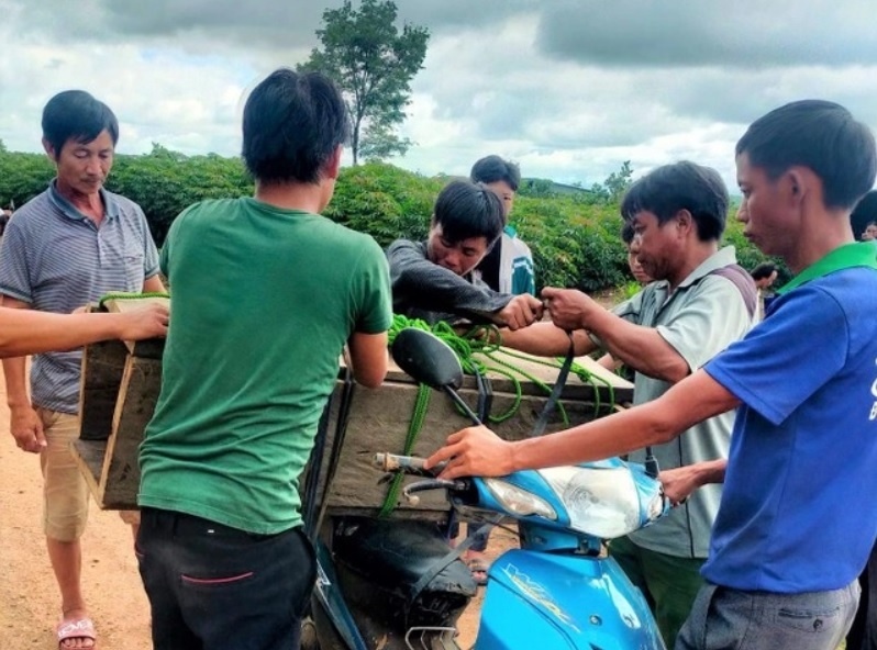 Thong tin be 3 tuoi tu vong khong co dat chon la sai su that hinh anh