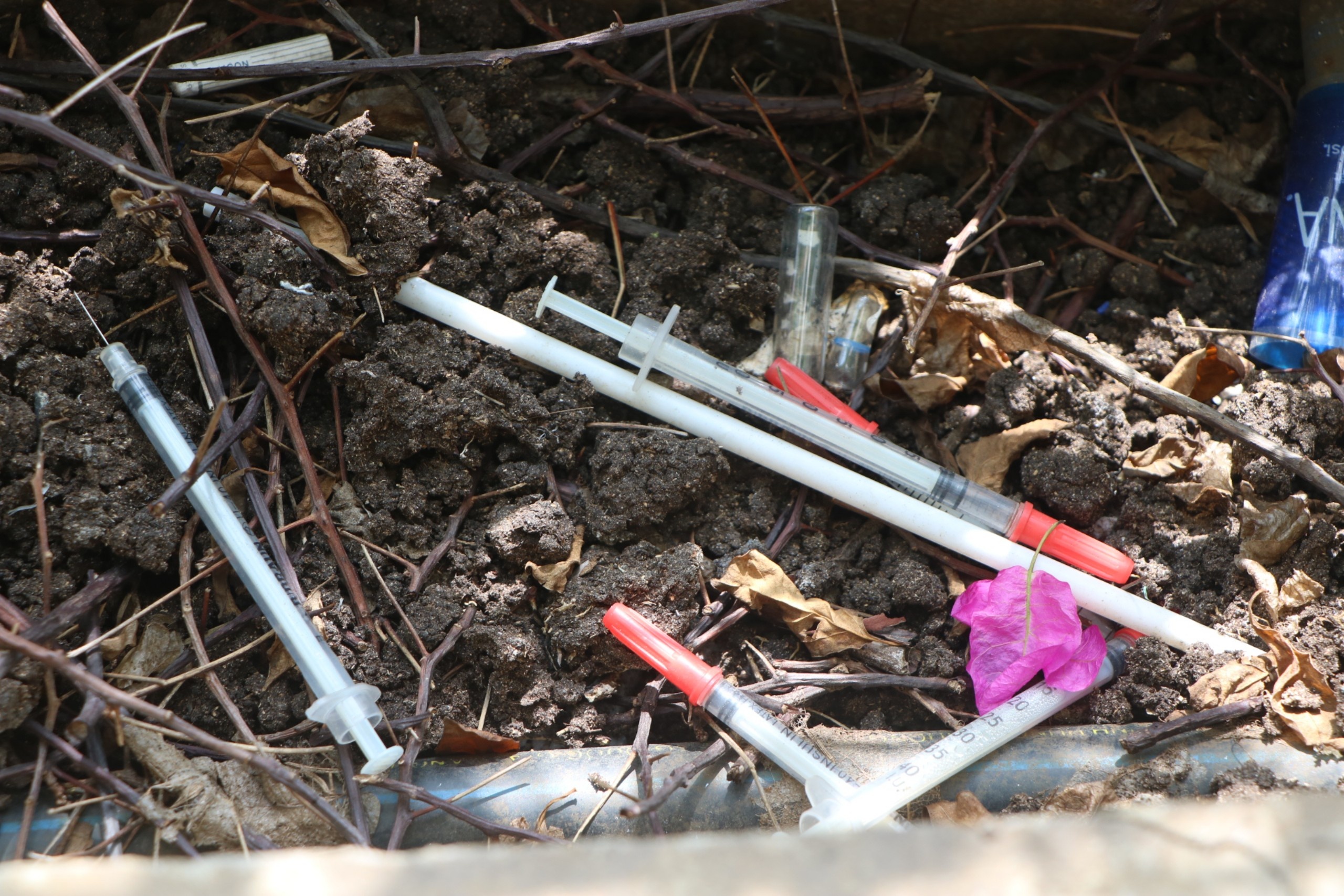 Cau bo hanh o TP.HCM day ray bom kim tiem hinh anh