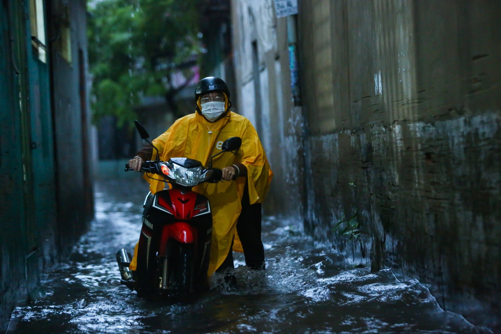 TP.HCM co the mua trien mien dip le 2/9 hinh anh