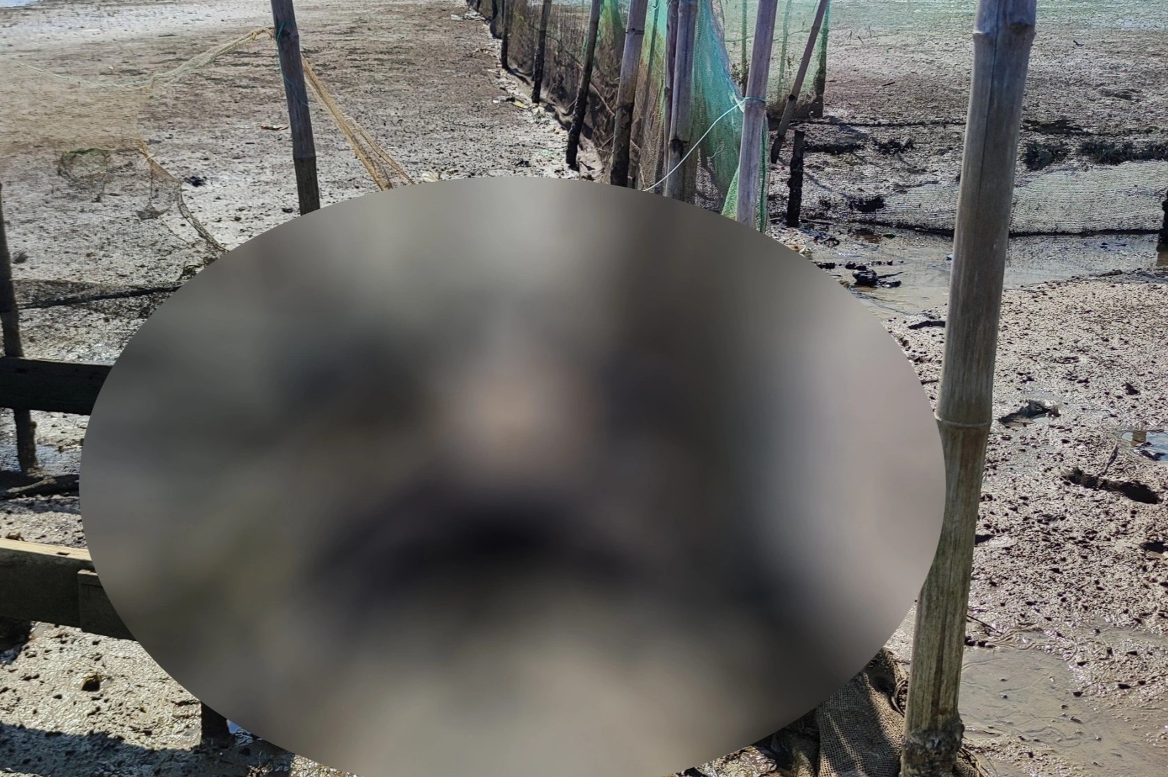 Thi the nam gioi dang phan huy troi dat vao bo song Gianh hinh anh