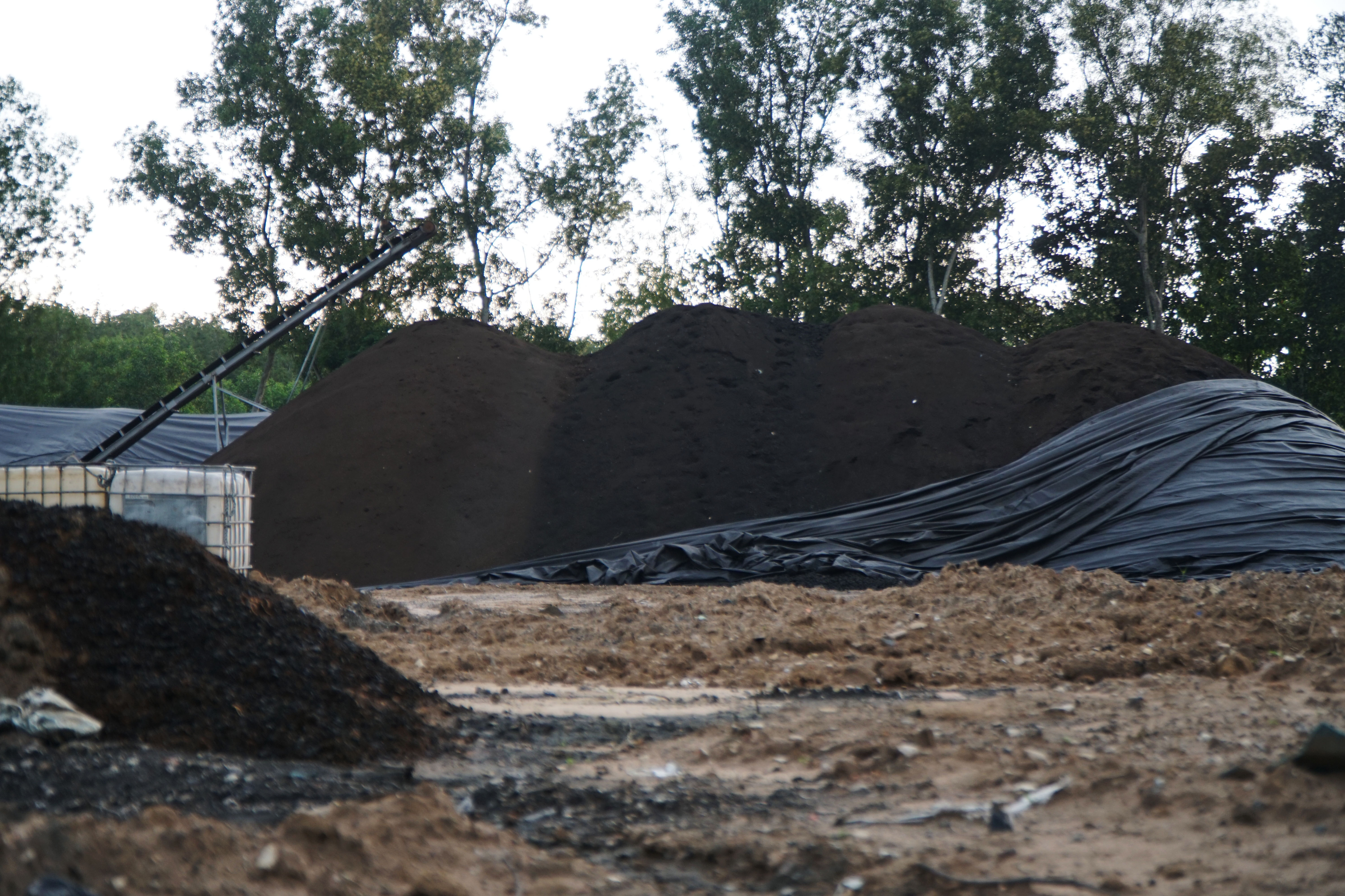 Nguoi dan Binh Duong lo bai lap rac thai trai phep anh huong suc khoe hinh anh