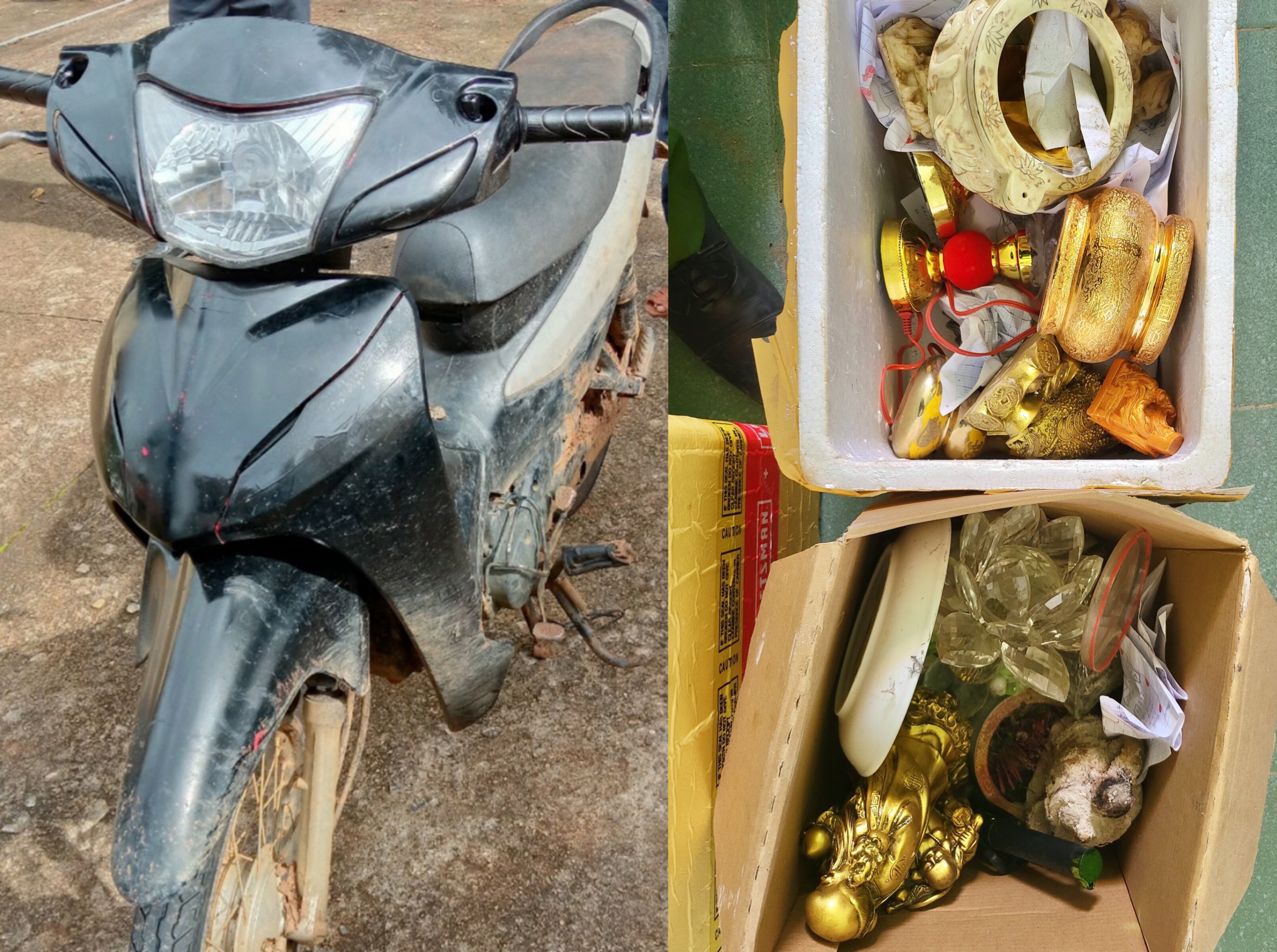 2 bo xuong giua rung anh 4