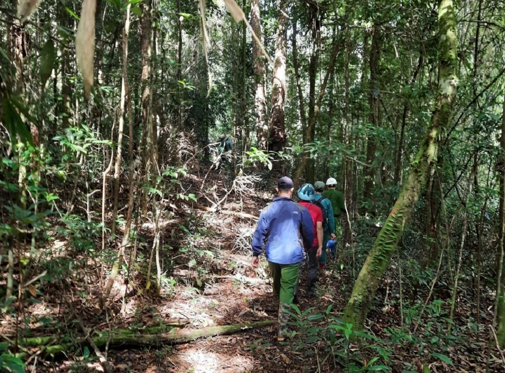 2 bo xuong giua rung anh 1