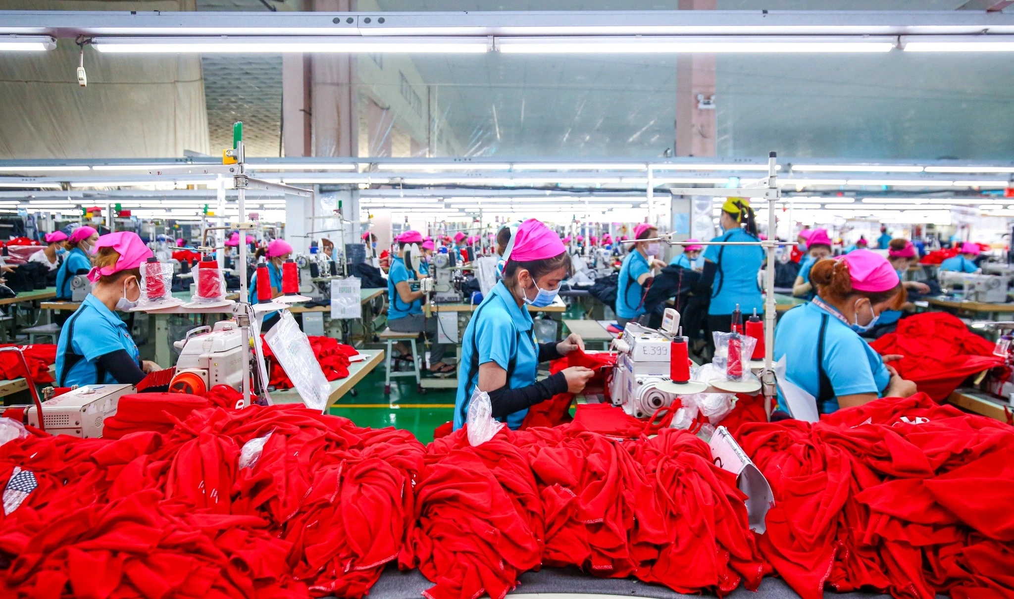 TP.HCM khong the thu hoi gan 400 ty tien no bao hiem hinh anh