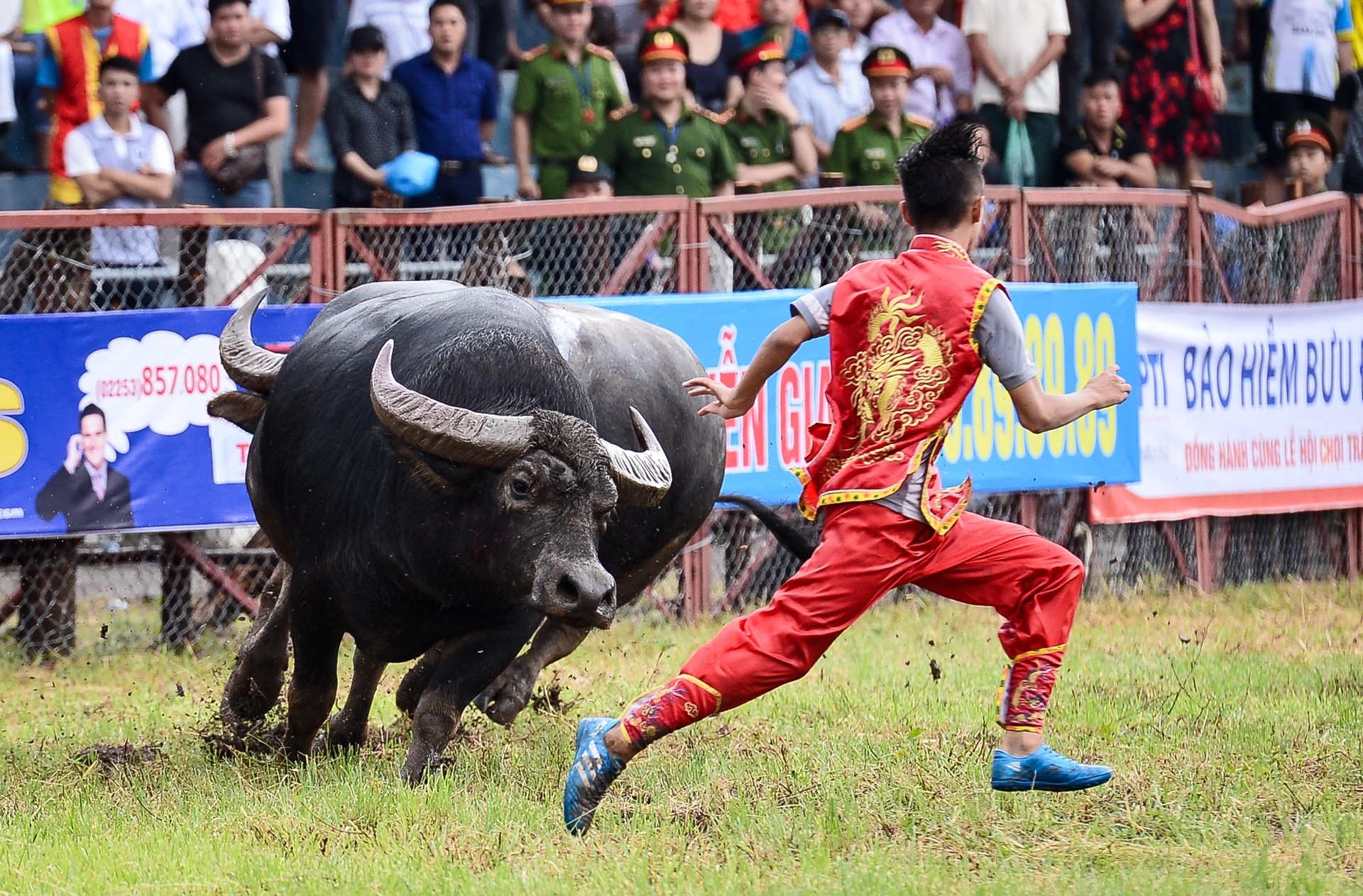 Cong an mac thuong phuc ngan chan ca do o Le hoi Choi trau Do Son hinh anh