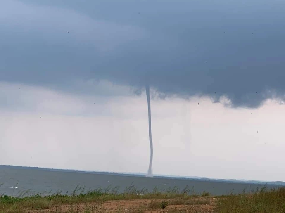 Ly giai viec voi rong xuat hien hy huu tren ho Tri An hinh anh