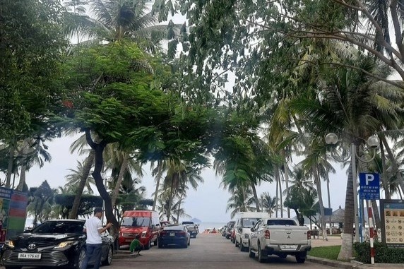 Yeu cau cham dut cac bai giu xe trai phep doc bo bien Nha Trang hinh anh