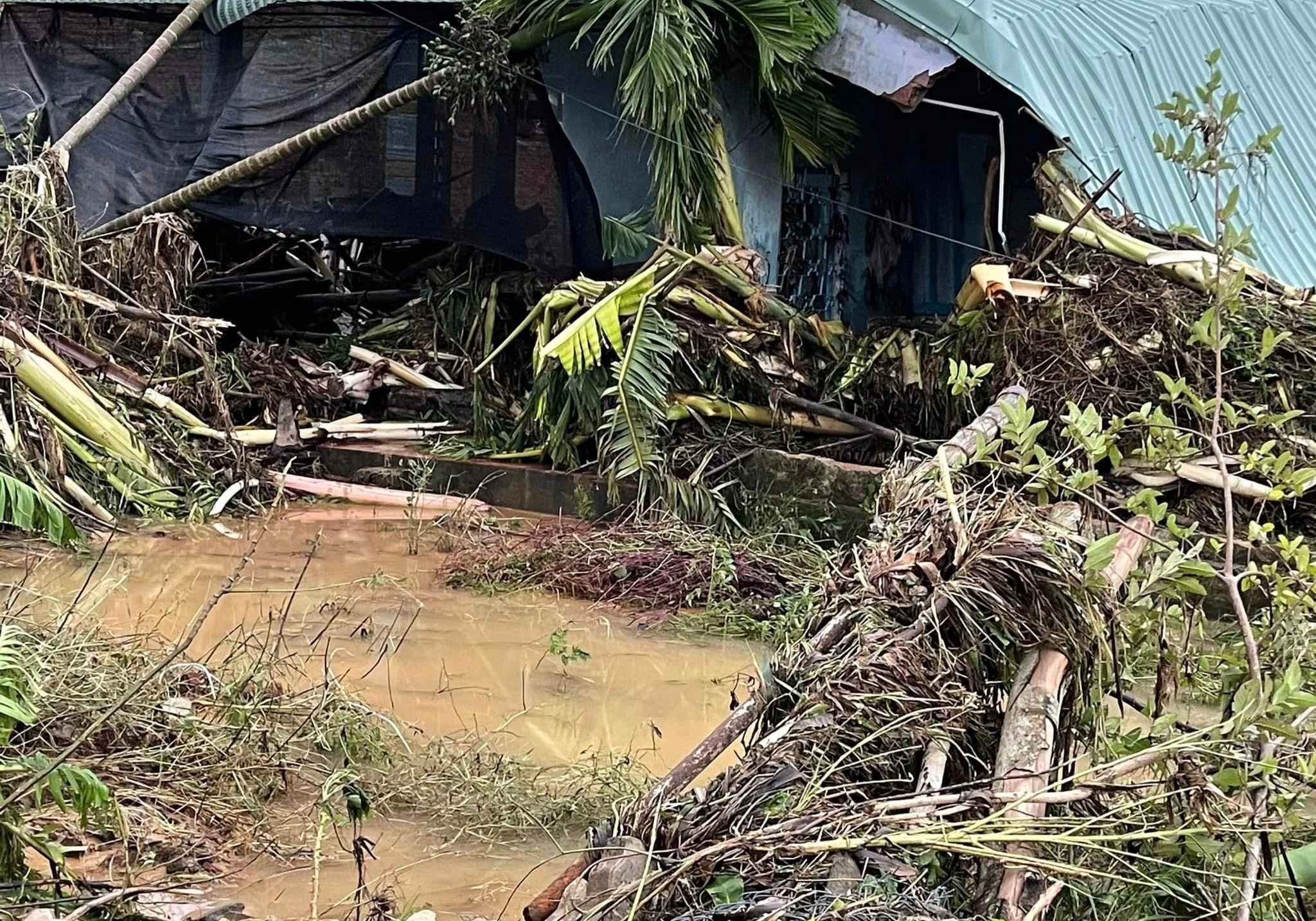 mưa ngập ảnh 1 mua ngap anh 1