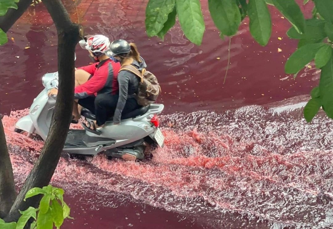 Chua ro nguyen nhan khien dong nuoc do sam o khu dan cu TP.HCM hinh anh