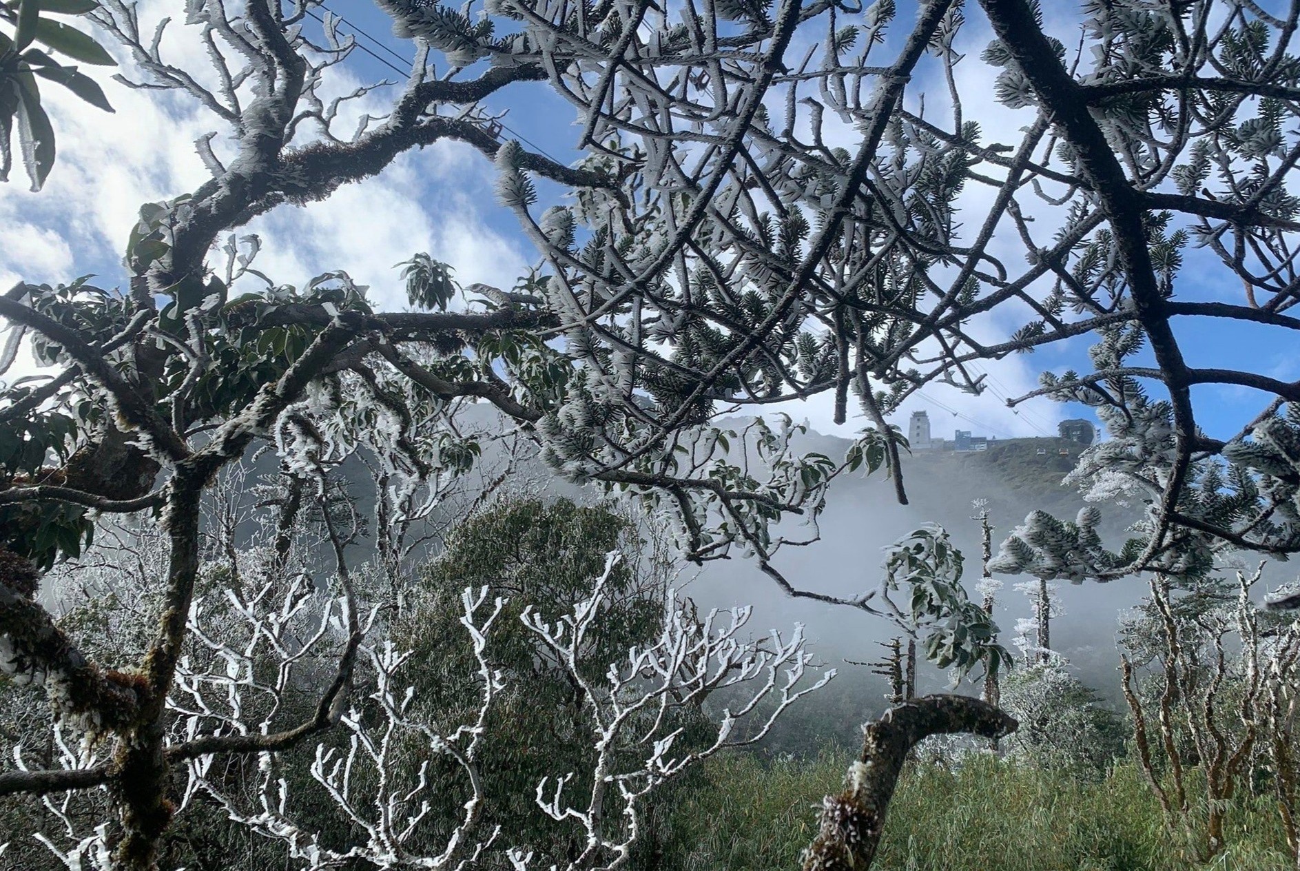 Fansipan -8 do C, nhiet do xuong thap nhat trong nam hinh anh