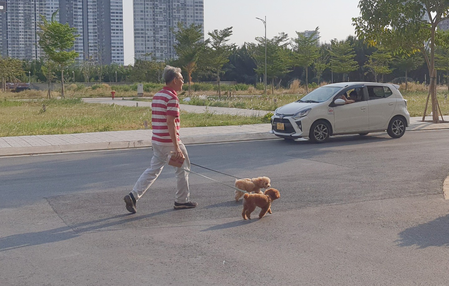 danh nguoi vi thu cung anh 1