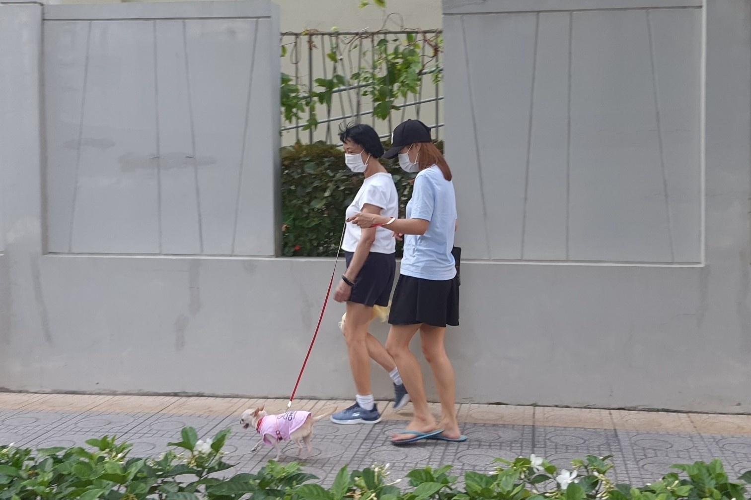 thu cung o chung cu anh 2