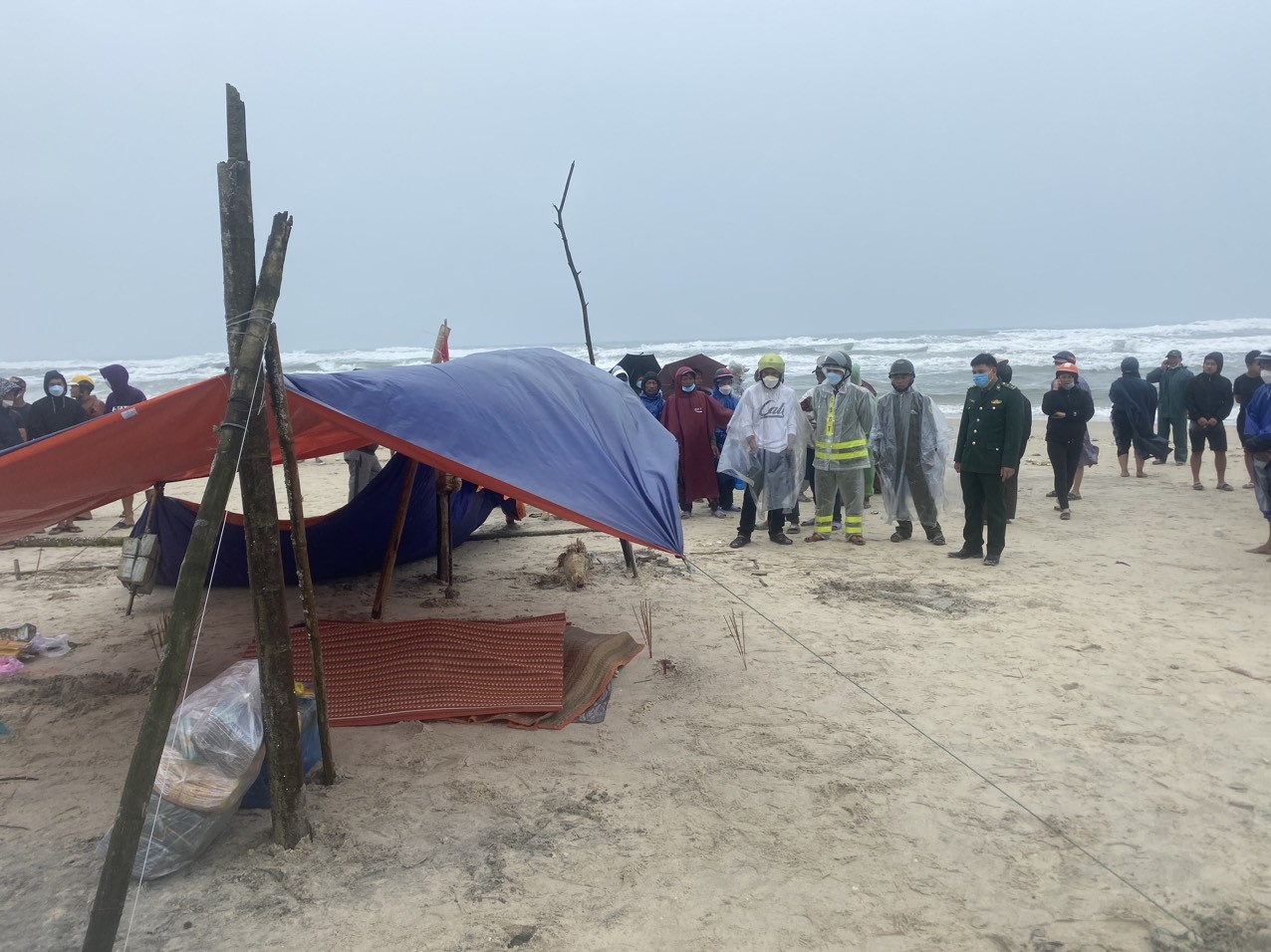 chim tau o Hue anh 1