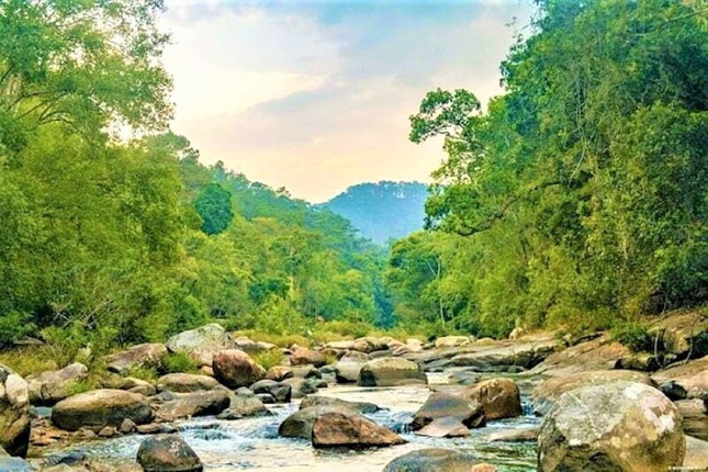 Du khach den tu TP.HCM tu vong khi leo nui da ngoai o Dak Lak hinh anh