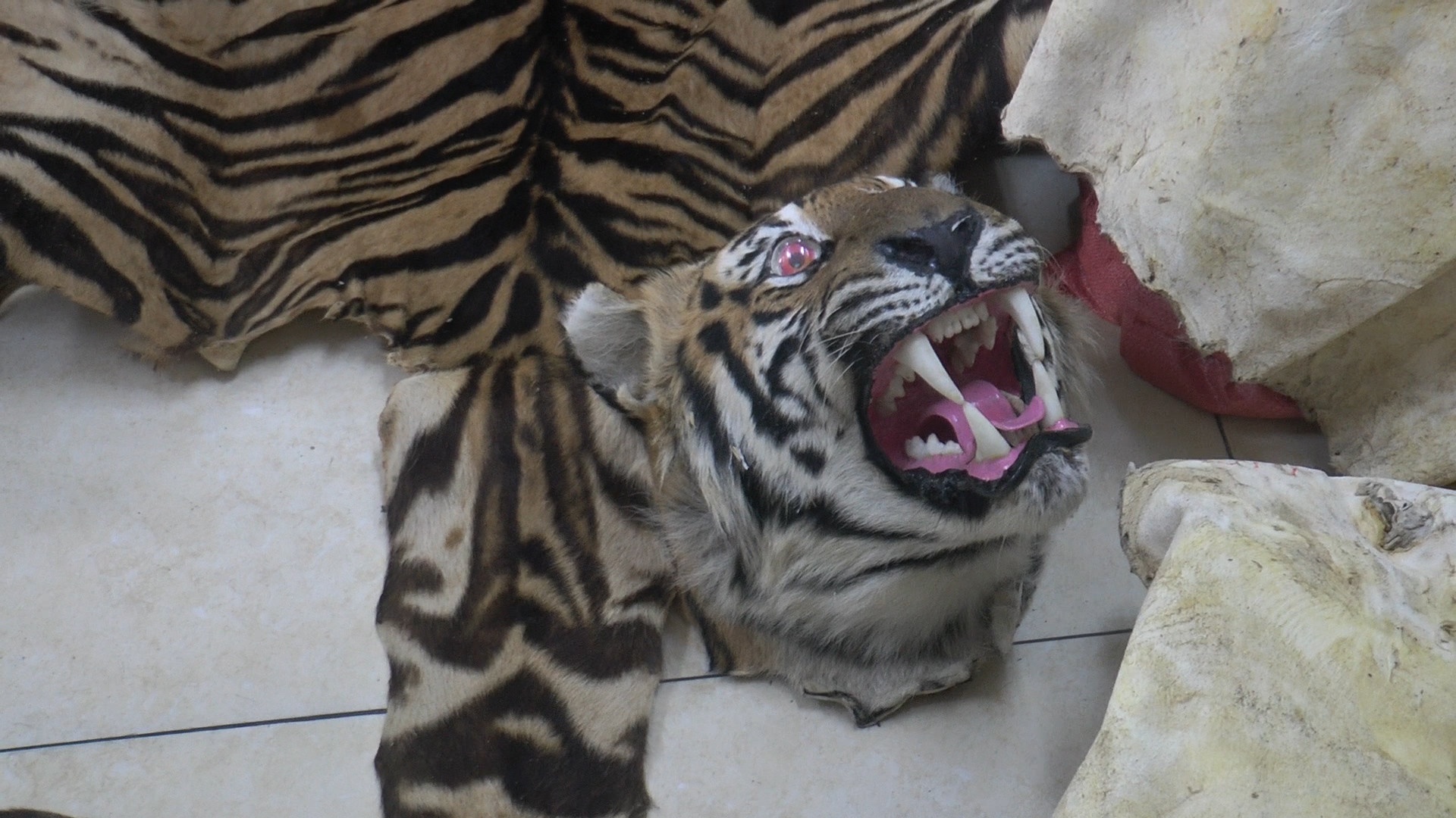 Phat hien 2 tai xe taxi van chuyen 3 bo da, mot cap dau ho o Ha Noi hinh anh