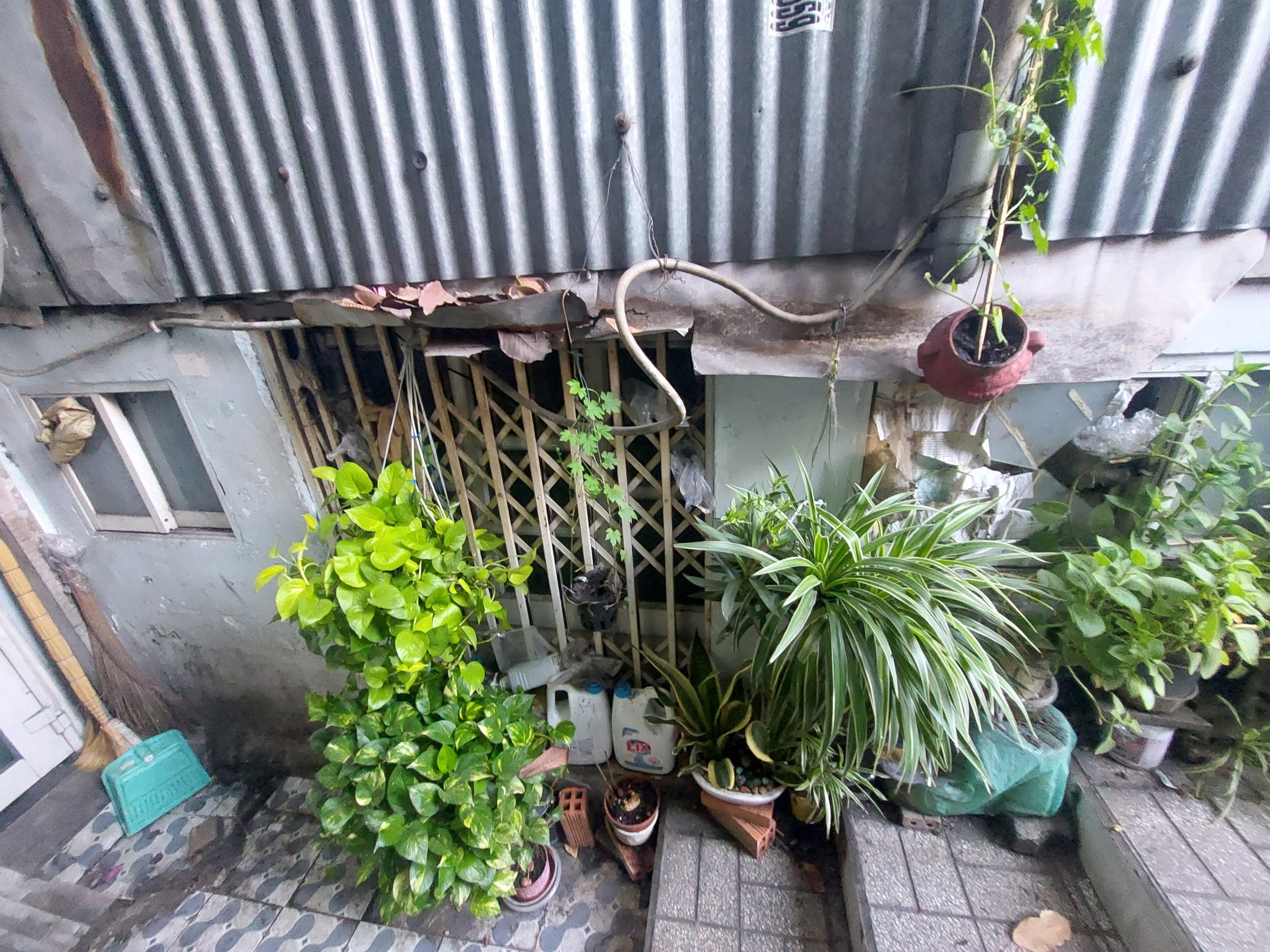 nha duoi long dat anh 3