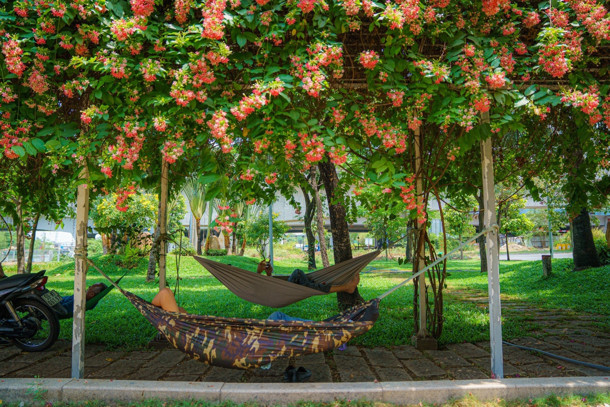 nang nong TP.HCM anh 4