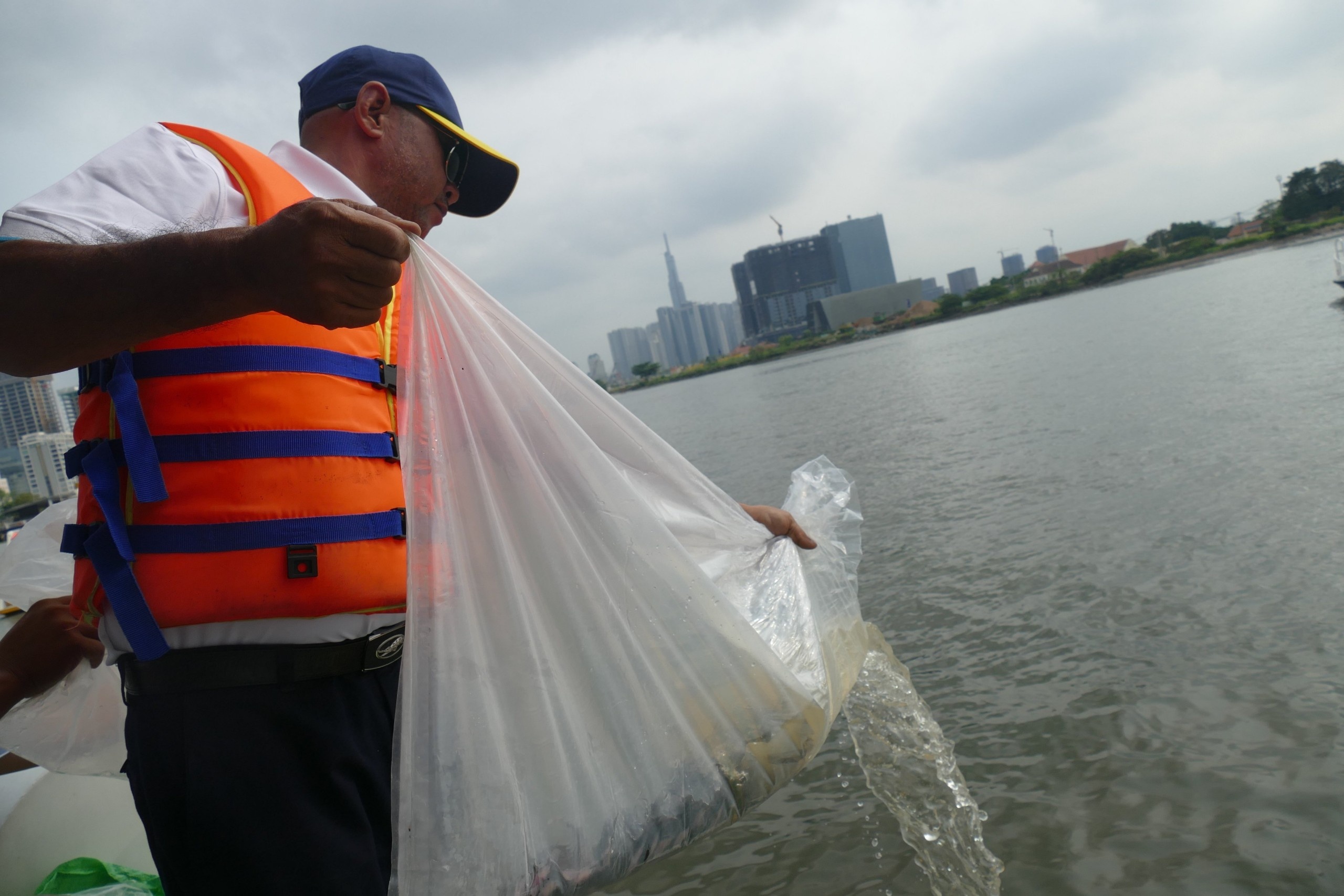 44.000 con ca lang giong duoc tha xuong song Sai Gon hinh anh