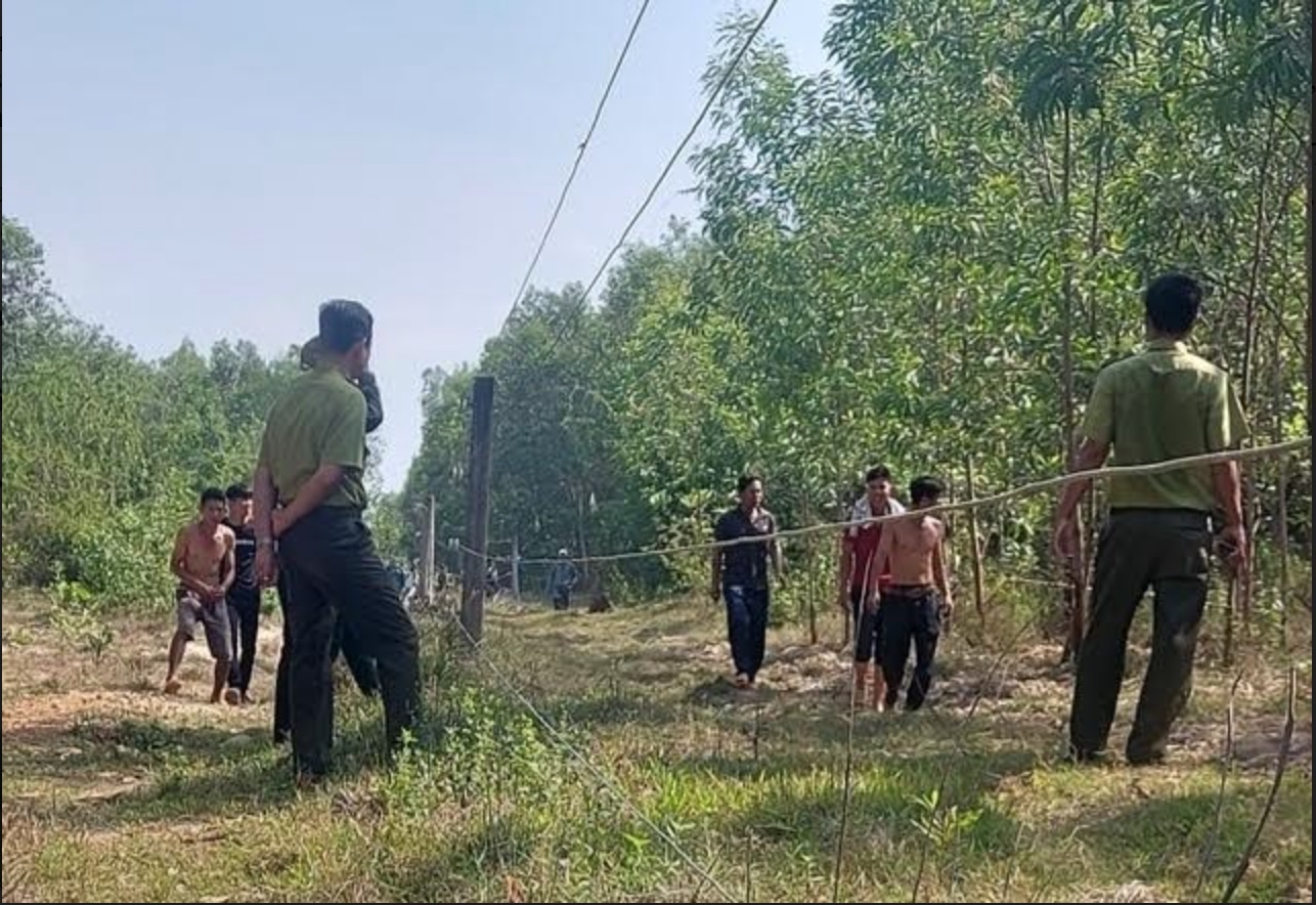 Voi rung tan cong nguoi dan o Dong Nai hinh anh